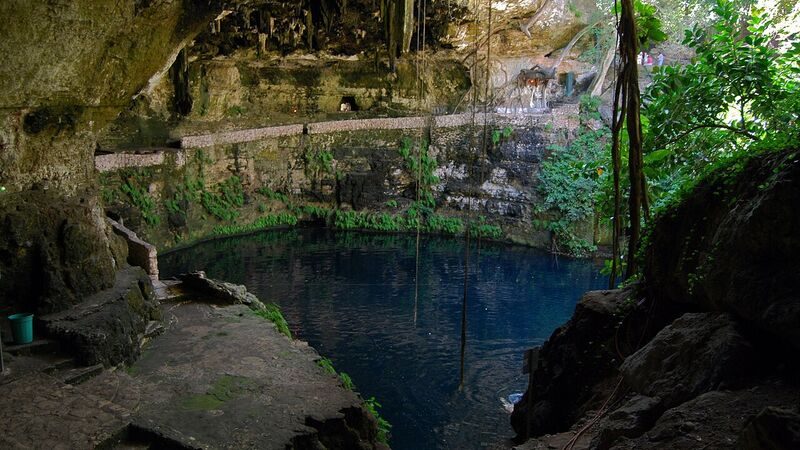 Greenpeace midió 17 pozos y cenotes de Yucatán y ninguno salió limpio: 13 con coliformes fecales por encima de 1,800 y nitratos arriba del límite de la OMS en Motul y Chocholá